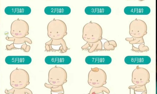 养卵泡黑豆浆什么时候喝-什么期间喝黑豆养卵泡网 | 养卵泡黑豆浆什么时候喝,黑豆对卵泡的好处